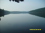 sd530805_20090329_2031975429.jpg