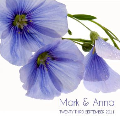 Blue Petal Flower - JPGS 2 Folded Invitation