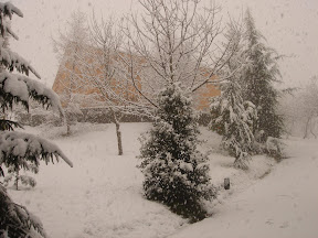 DSC00718.JPG