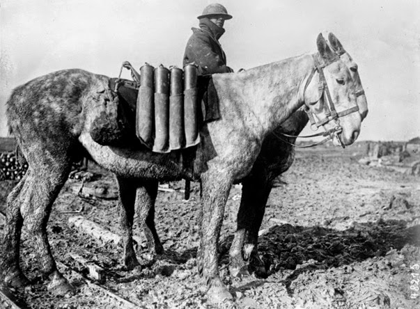 Primeira Guerra Mundial Primeira Guerra Mundial