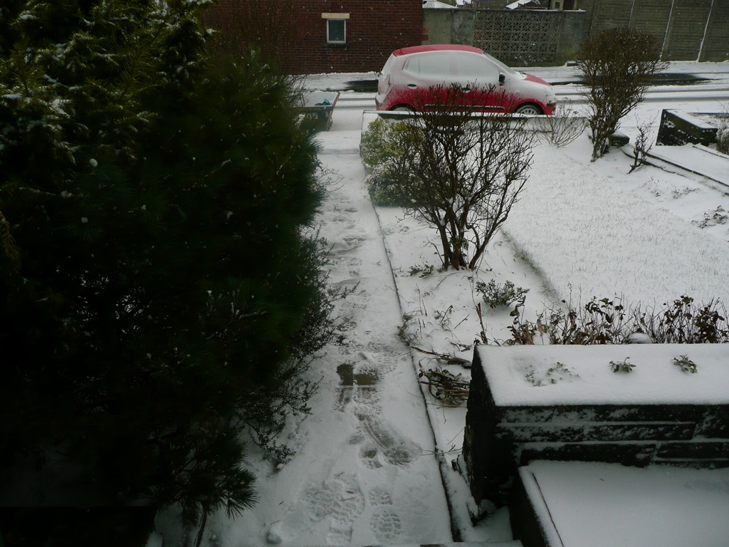 [P1010528%255B4%255D.jpg]