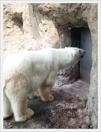 [9527485469_b34b153c30_o%255B3%255D.jpg]