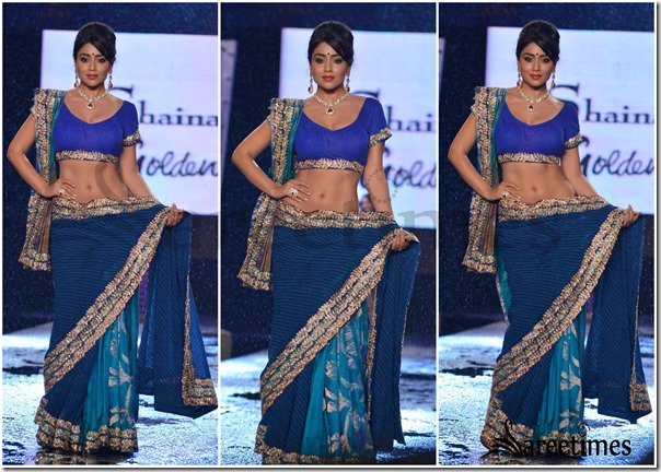 Shaina_Nc_Saree (4)