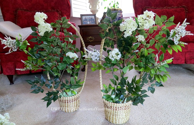 Blooms