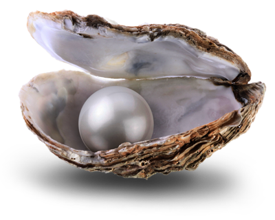 [pearl-of-great-price-2.png]