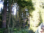2003 - Seattle MVP - Microsoft Campus Photos