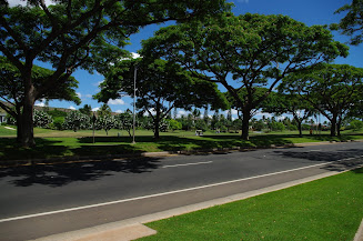 the road out front