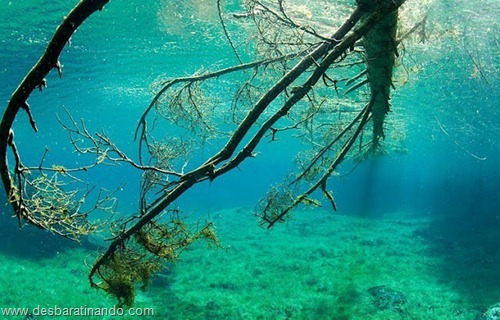 Green Lake parque submerso austria desbaratinando (2)