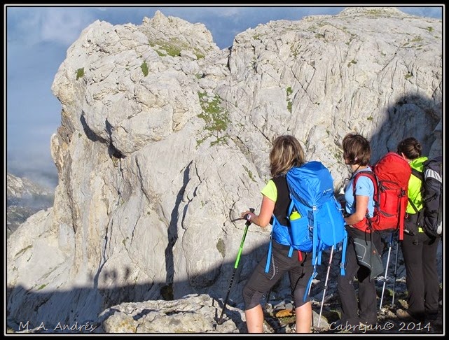 Picos 119 Picos 119
