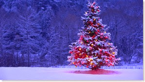 tumblr_static_decorated-christmas-tree