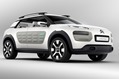 Citroen-Cactus-Concept-1