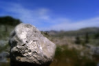 DSC03294.JPG