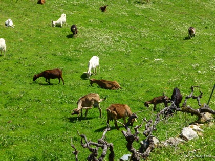 [P1020301%255B7%255D.jpg]