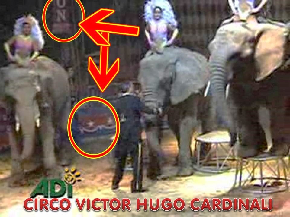 [Slide4%255B2%255D.jpg]