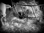 IMG_20120105_170143.jpg