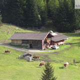 01.10.10. Malga Hollenzalm St. Jakob - san jacomo