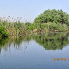 IMG_7598.JPG
