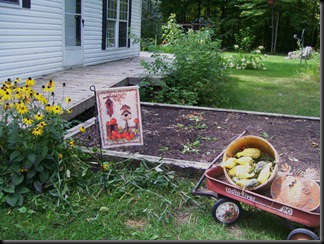basket of gourds outside