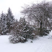 Ingezonden winterfoto's 2011-2012_71.jpg