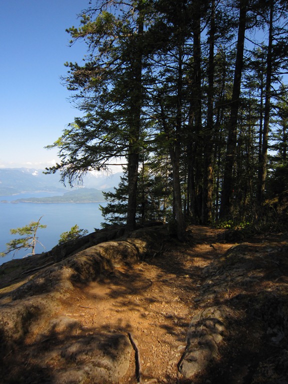 [IMG_73744.jpg]