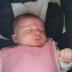 DSC01017.JPG