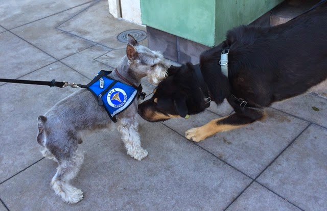 [035%255B3%255D.jpg]