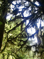 2011-08-07 14.37.32.jpg