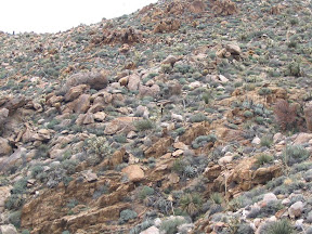 Look closely, we were being watched the entire time.