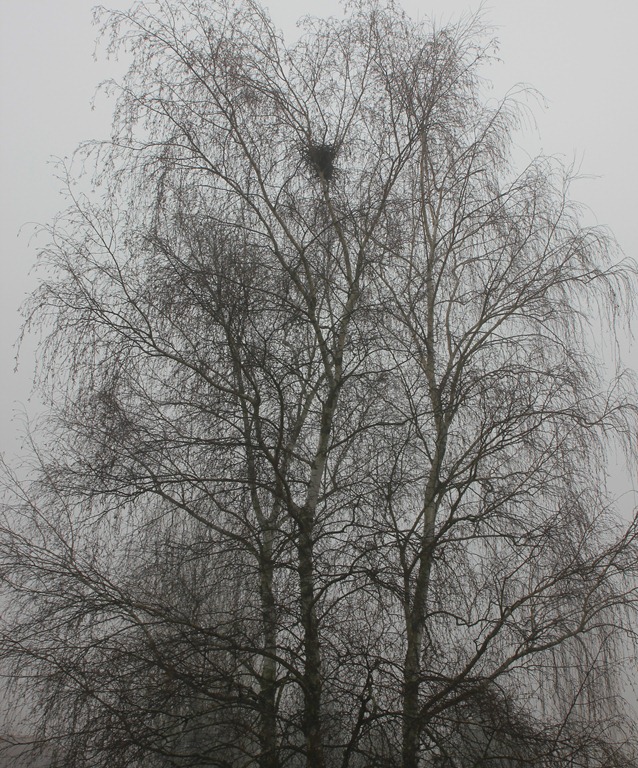 [IMG_7302%255B4%255D.jpg]