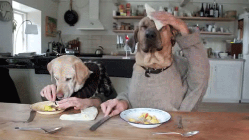 [tumblr_likoxkmhF61qbykh3o1_500%255B5%255D.gif]