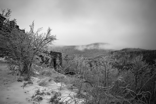 _MG_5248.jpg
