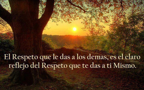 facebook (8) facebook (8)