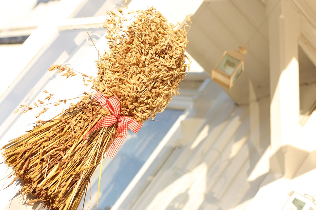 [IMG_1726%255B4%255D.jpg]