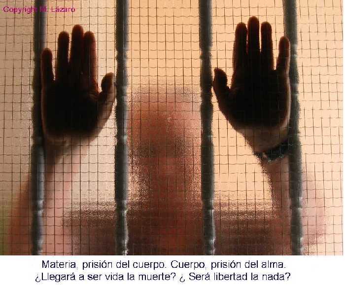 La puerta a la imaginación: El cuerpo es la cárcel del alma.