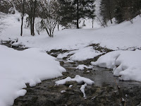 IMG_3333.JPG