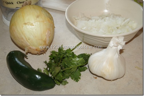 salsa ingredients salsa ingredients