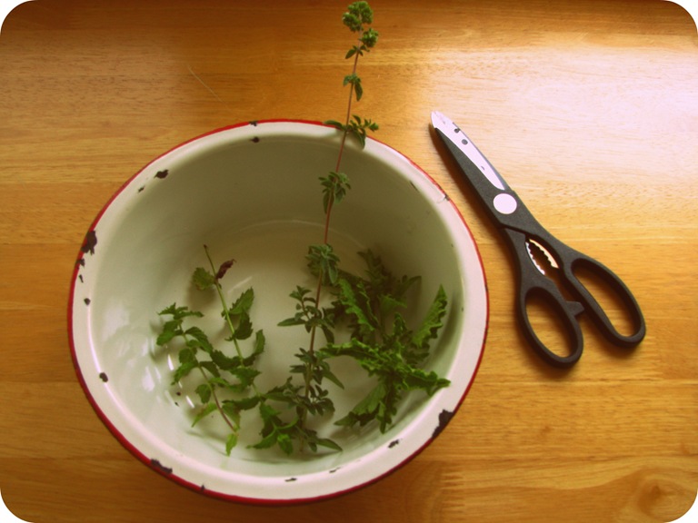 [herbs%2520in%2520a%2520bowl%255B7%255D.jpg]