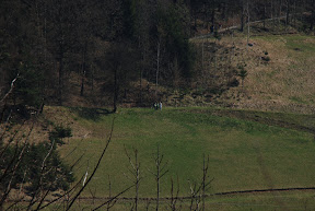 Škalska liga 2011