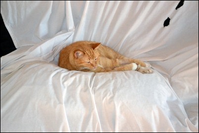 Leo futon Leo futon