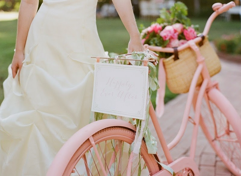 12 OakandtheOwl _ Pink Bicycle