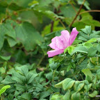 20100828_021_small.JPG