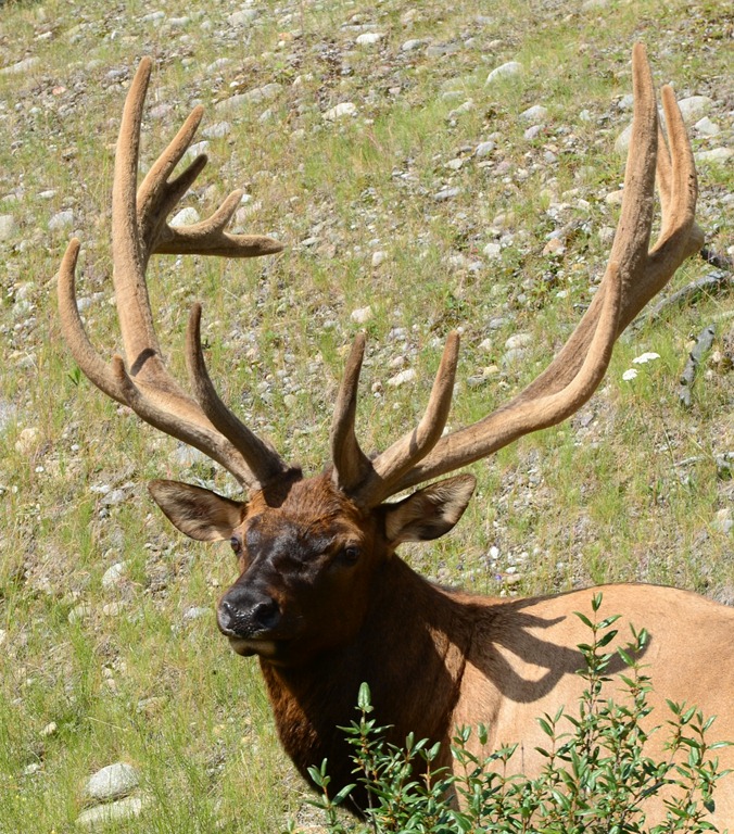 [To%2520Jasper%2520Day%252037_4899%255B4%255D.jpg]