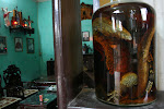 Hanoi, Vietnam 010.JPG