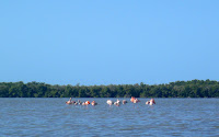 P1170069.JPG