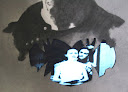 Ave Frida, vedio detail