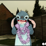 Shoot: stitch