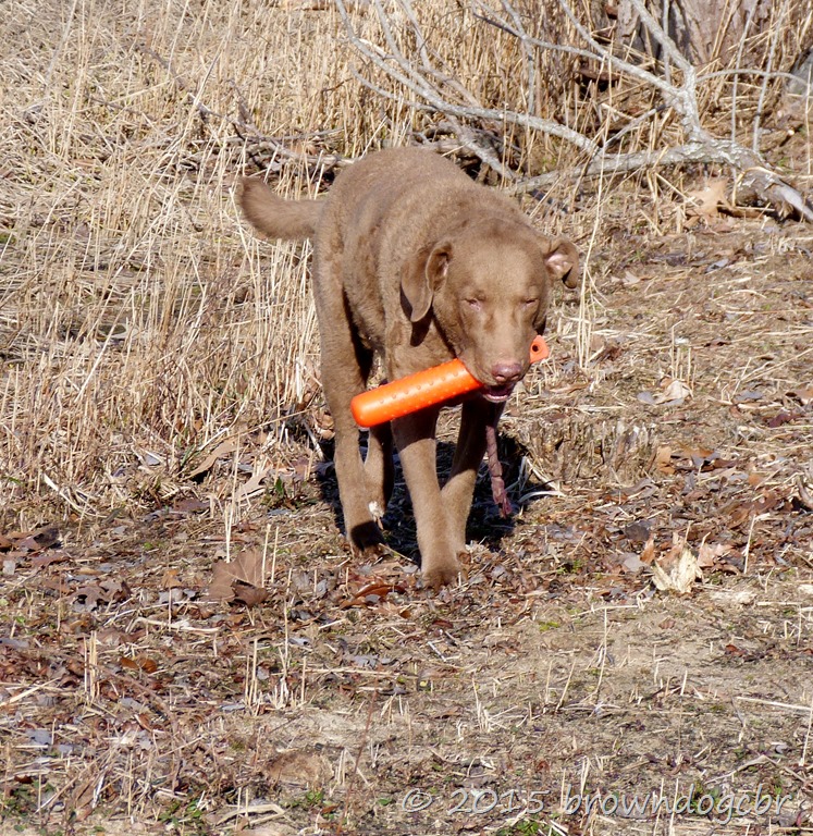 [P1320377%255B9%255D.jpg]