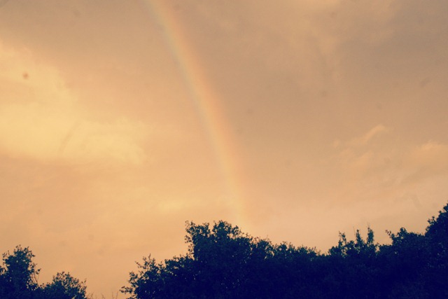 rainbow