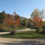IMG_2399.jpg