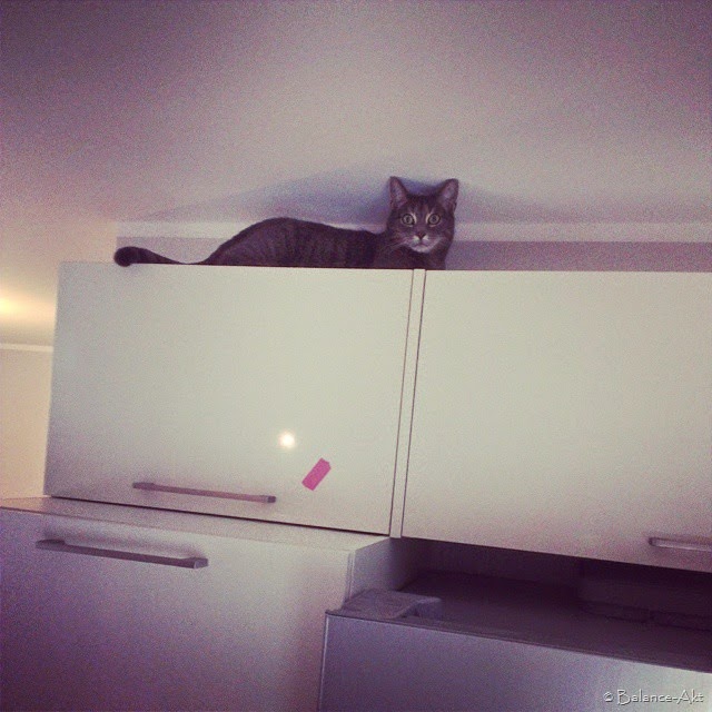 [Bild1%255B3%255D.jpg]